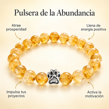Pulseras Huellas al Rescate