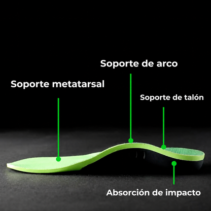 Plantillas XSTANCE 2.0